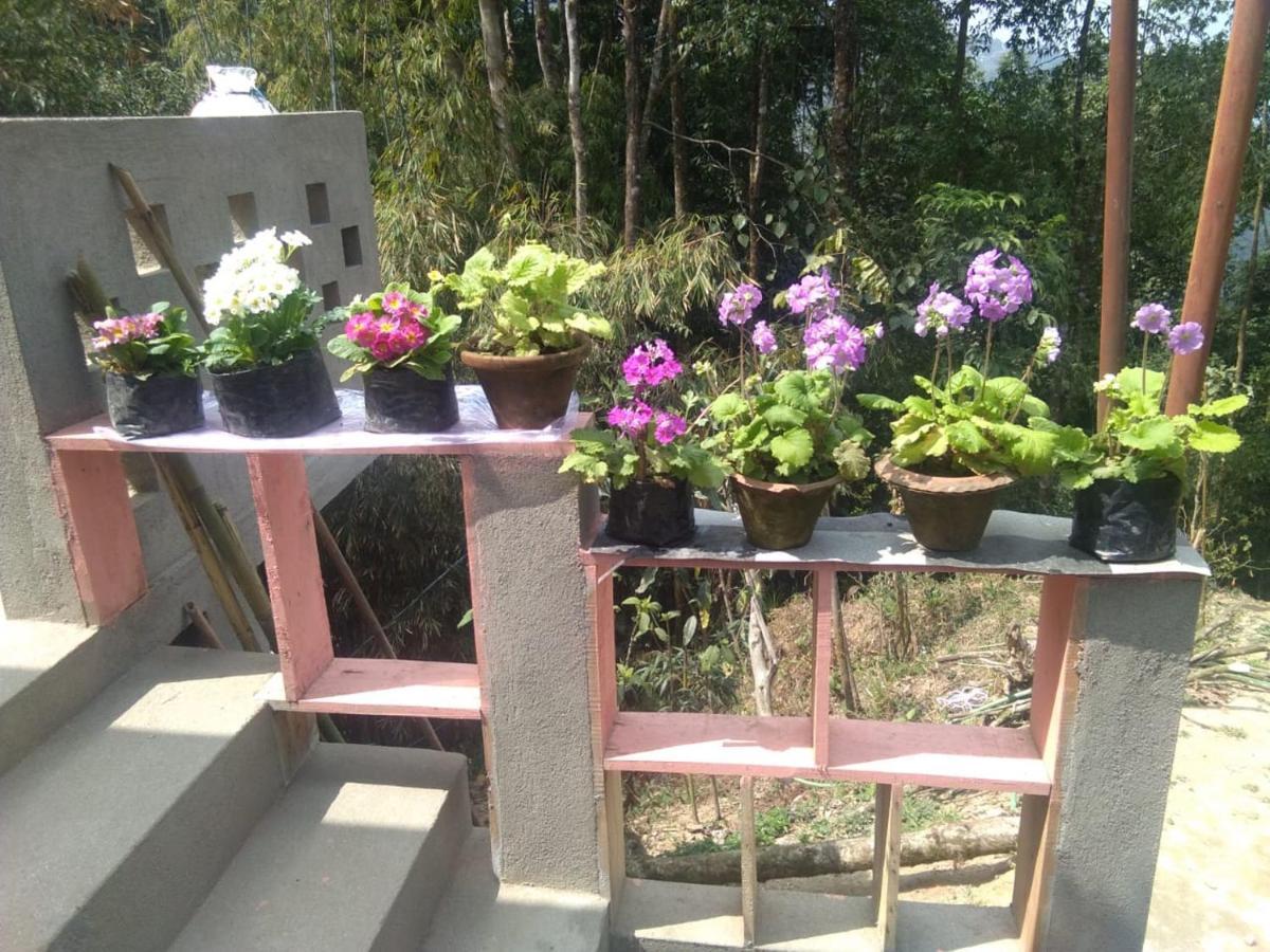 Joe'S Farm Villa Darjeeling  Exterior photo