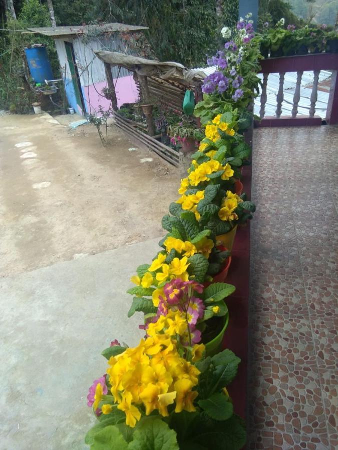 Joe'S Farm Villa Darjeeling  Exterior photo