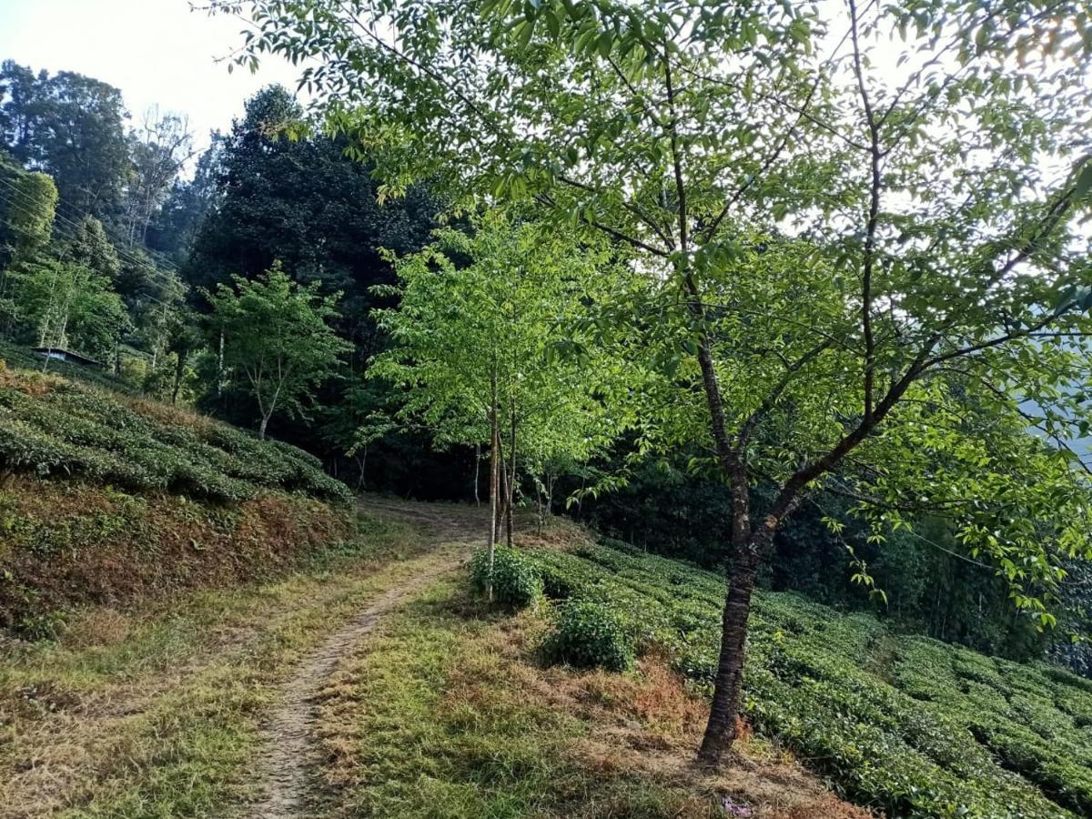 Joe'S Farm Villa Darjeeling  Exterior photo