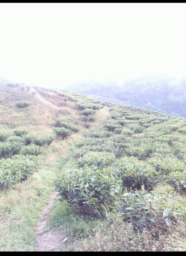 Joe'S Farm Villa Darjeeling  Exterior photo